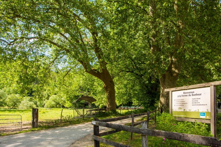 Leben "Im Herzen der Farm" - foto 15