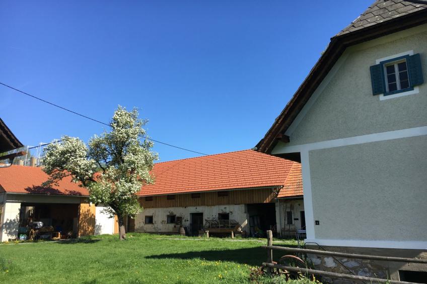 Kellerstöckl am veganen Bio-Lebenshof - Varm - the vegan Farm - foto 35