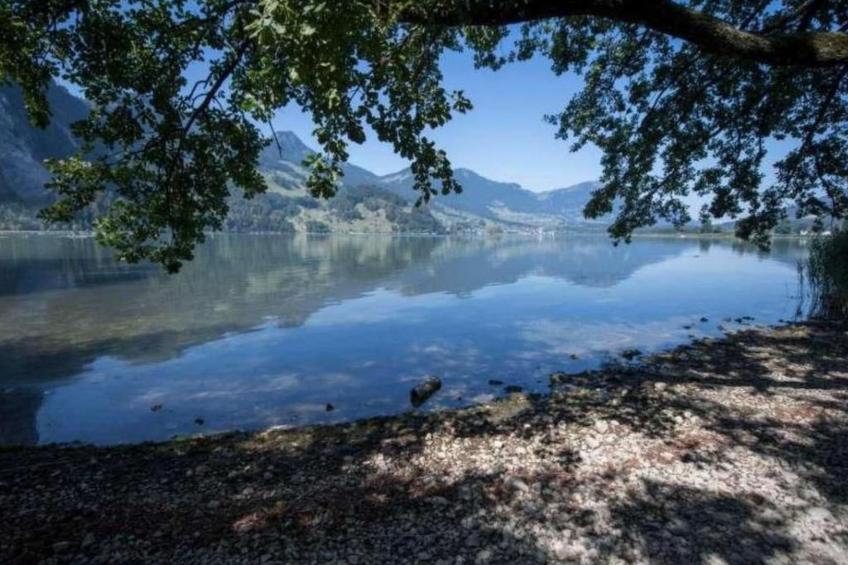 Guntern in Lauerz - foto 11