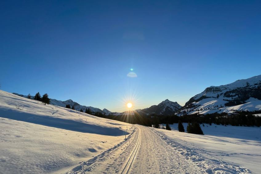 Chalet Muse - foto 37