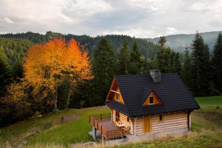 Dom wakacyjny dla 8 osób w Piwnicznej Zdroju - foto 40