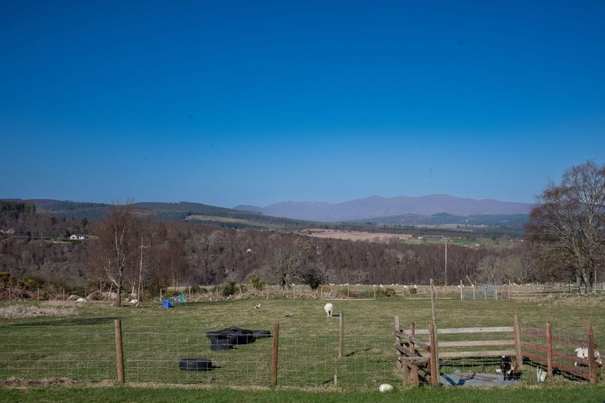 Crofters View - foto 31