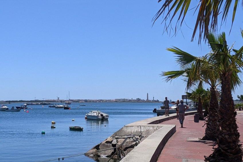 Wohnung mit Balkon, Blick auf die Lagune, Sao Jacinto, Aveiro - foto 16