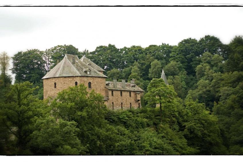 Le Gîte de Jevigné - foto 28