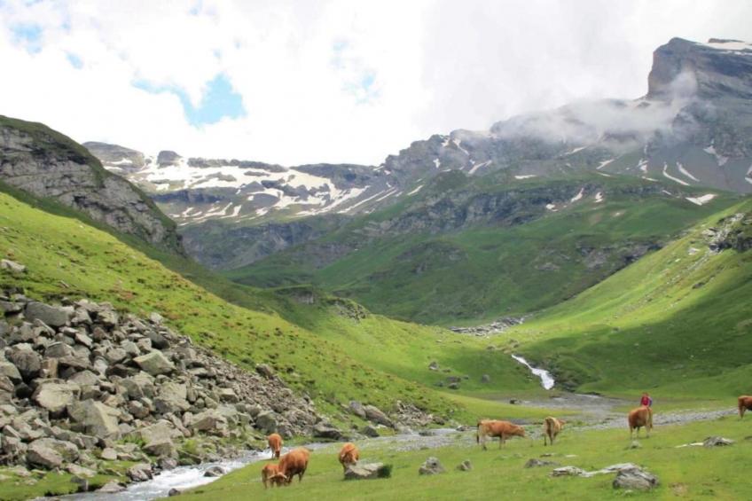 Gîte 1824 - foto 24