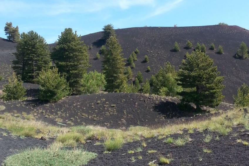 Gemütliches Appartement in Castiglione Di Sicilia mit Privatem Pool - foto 28