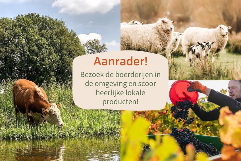 Forest lodge with hot tub - 4 people - foto 19