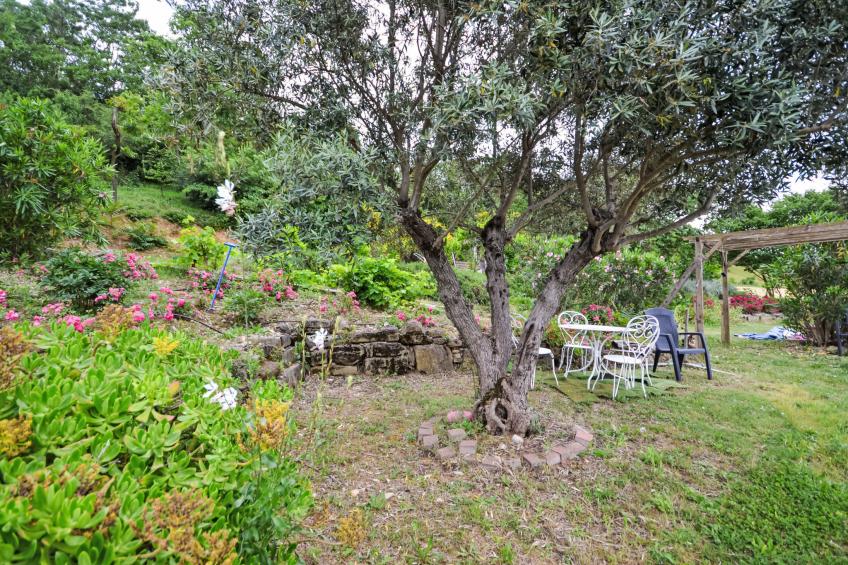 Douce campagne - foto 21