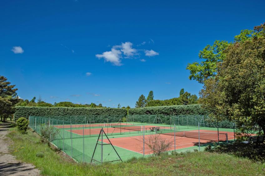La Bergeronnette - foto 29