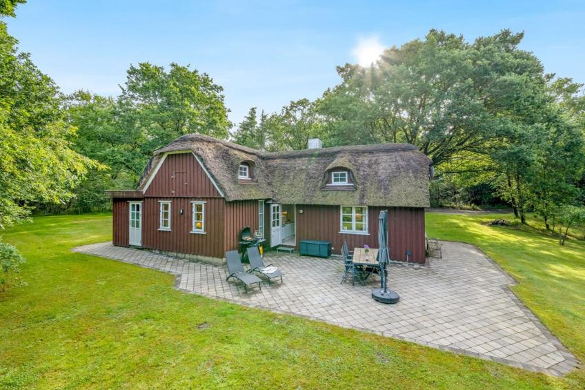 "Fina" - 15km from the sea in Western Jutland - foto 11