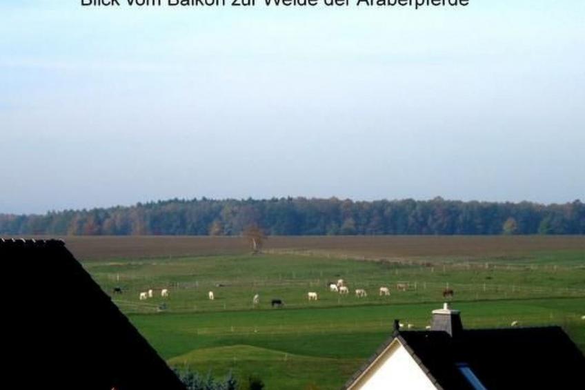 Haus Heidi - foto 17