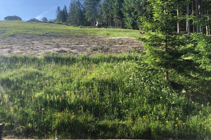 Bergchalet - foto 59