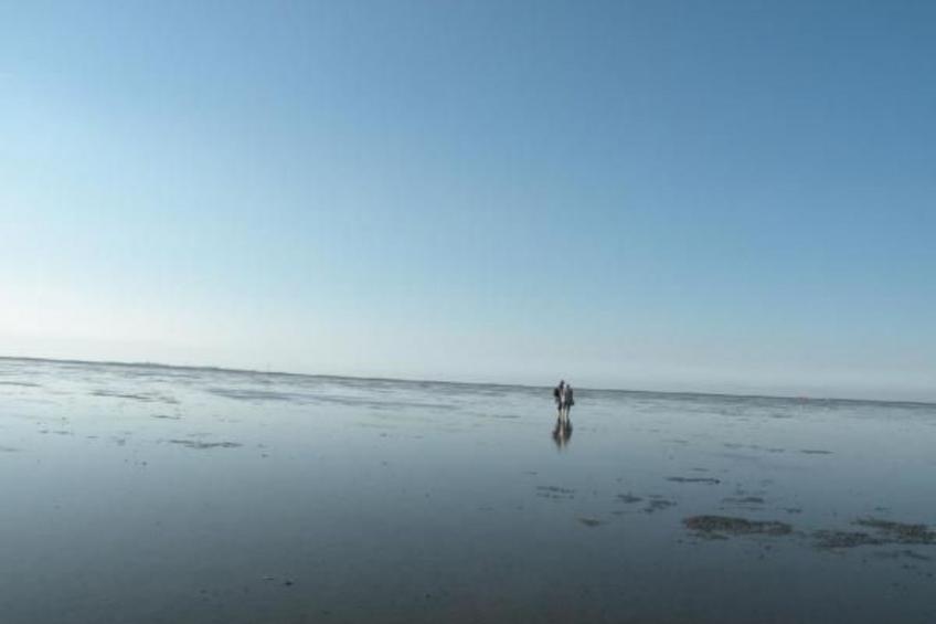 Altes Pastorenhus - foto 33