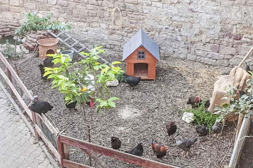 Tinkerhof Stahlhut - foto 12