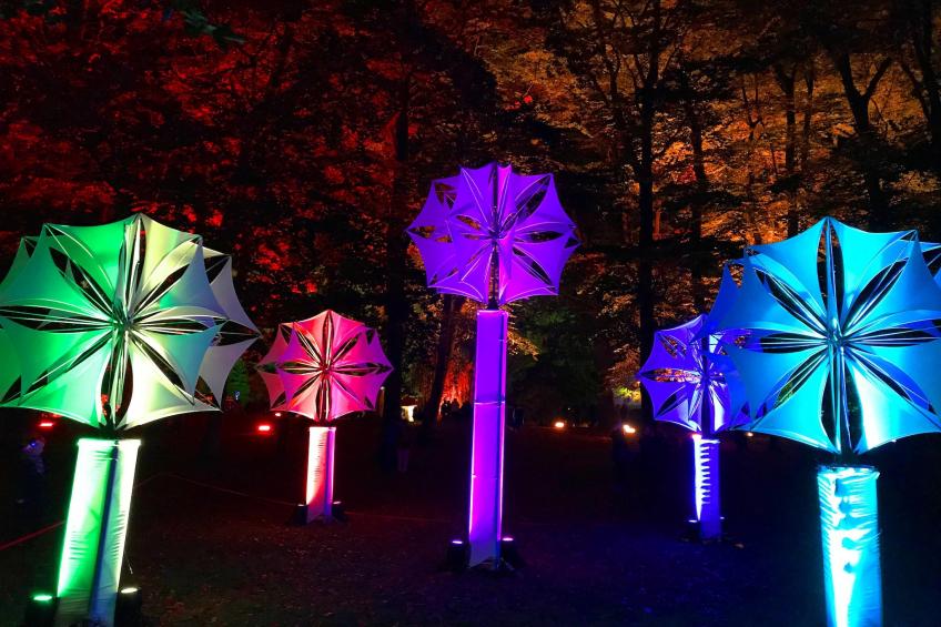 Ferienwohnung Meeresrausch, Ahlbeck - foto 26