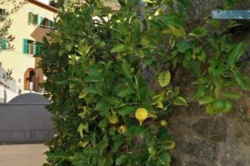 Wohnung 'The Grapefruit' mit Whirlpool - foto 20