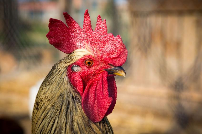 Wohnung "El Corral" mit Terrasse - foto 29