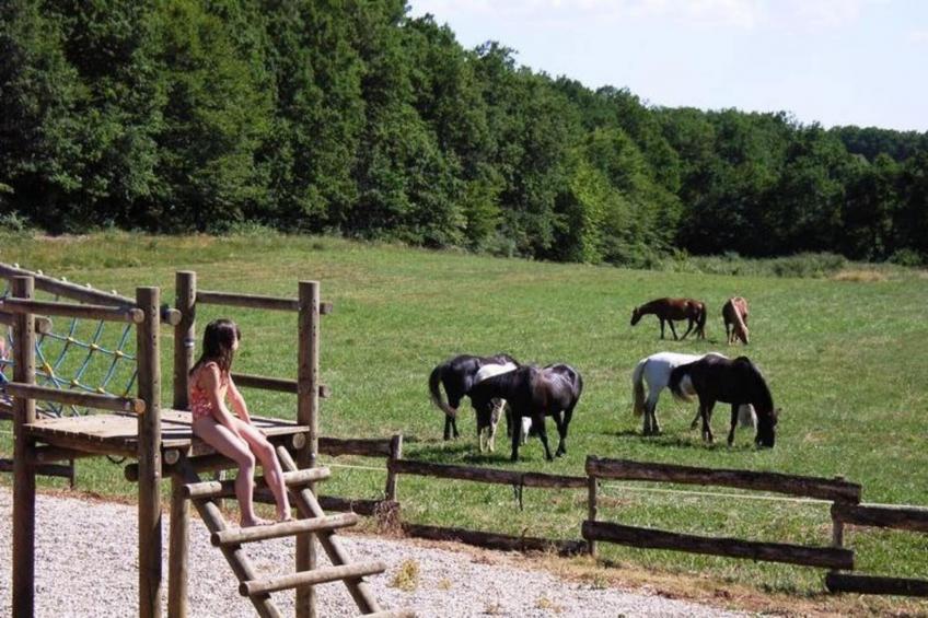 Domaine de Gavaudun - Maison Guyenne - foto 36