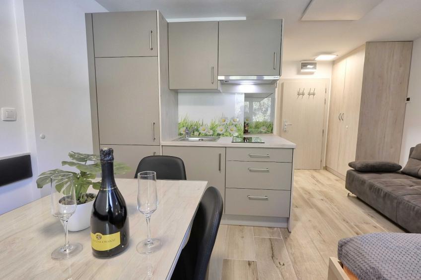 Cozy and Chic Apartment in Kranjska Gora - Studio Apartment - foto 4