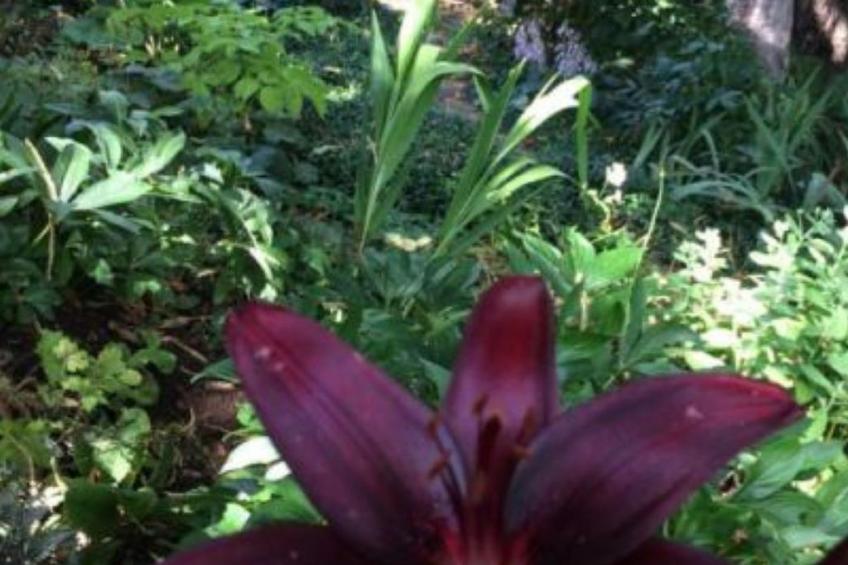 weg von der Zuvielisation - foto 12