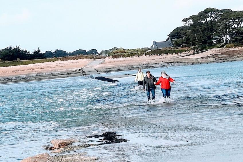 Die Ruhe des Landes am Meer in einer Region mit Gemüseanbau - foto 40