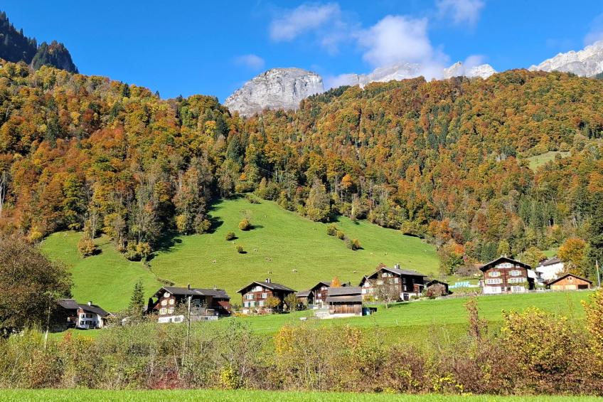 Mattishüüsli - foto 30