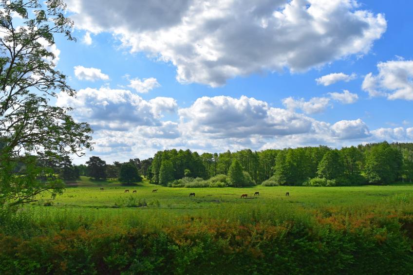 Twee-onder-een-kap woning Seepferdchen, Lohmen - foto 15