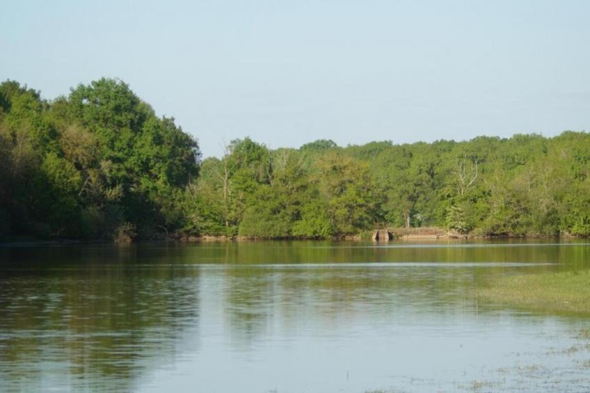 Maison de vacances Vitry Lache - foto 33
