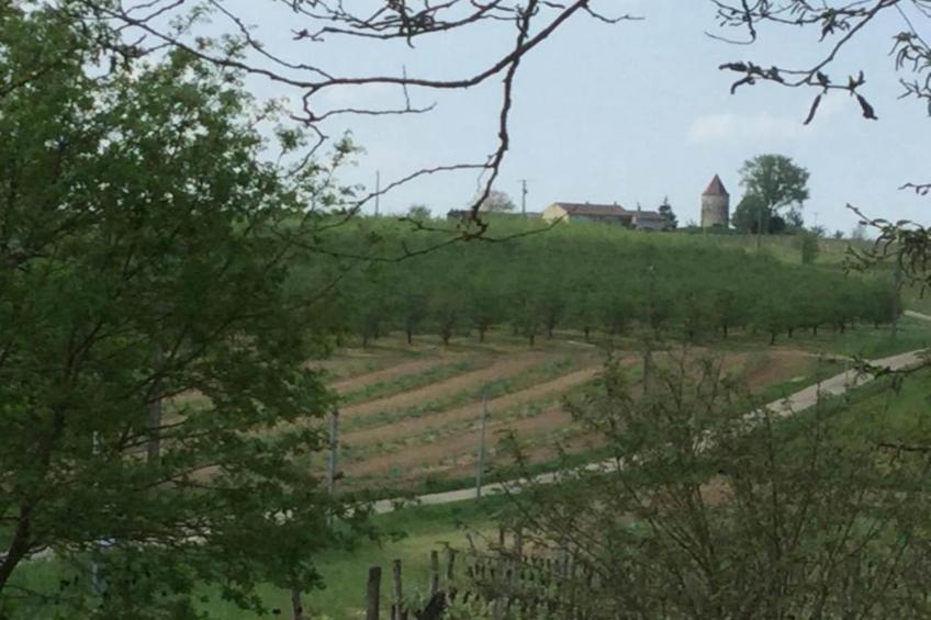 Mas d'Ourbise Penan - foto 34