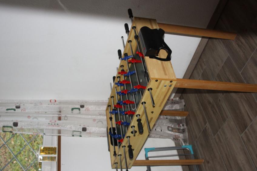 Palmgarten - foto 13