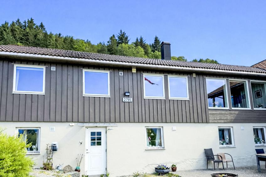 Mjellhaugen (FJS221) - foto 15