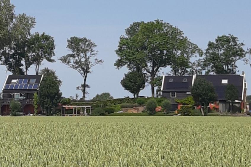 Polderzicht - foto 19