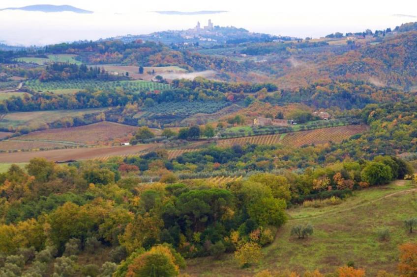 Casa Francesca 1 e 2 - foto 36