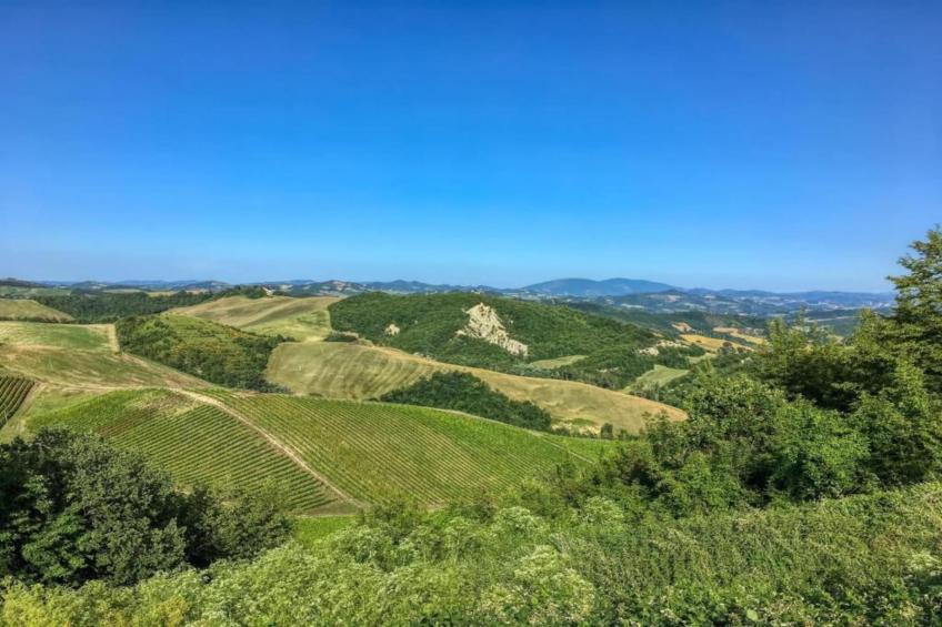 Calfattore Duchessa - foto 22