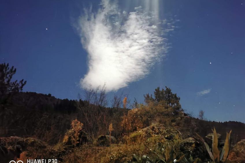 Chalet 'Perle des Höhenweges' - foto 23