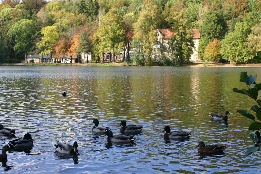 Kleine, gemütliche Ferienwohnung im Erholungsort - foto 11