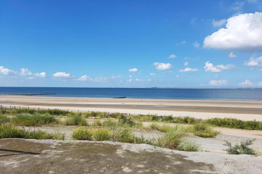 Het Platte Putje - Huisdier - nr 2 - foto 21