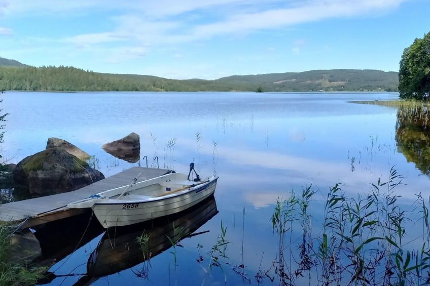 in Hagfors mit Großem Garten