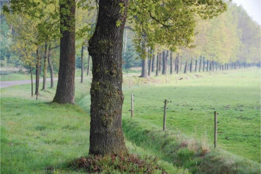 Dorpswoning Op Niveau 4 - foto 22