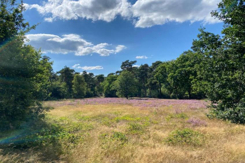 Resort De Heihorsten 9 - foto 25