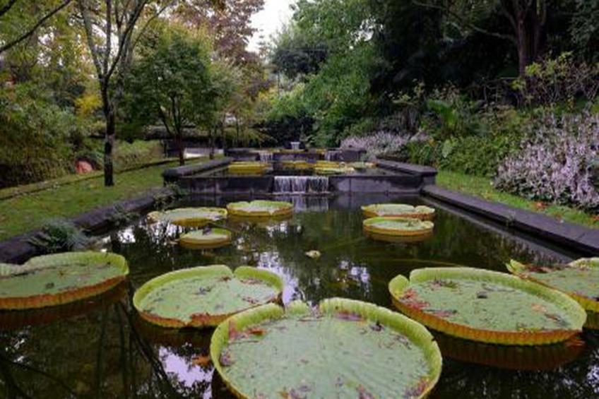 Haus der Stille - foto 36