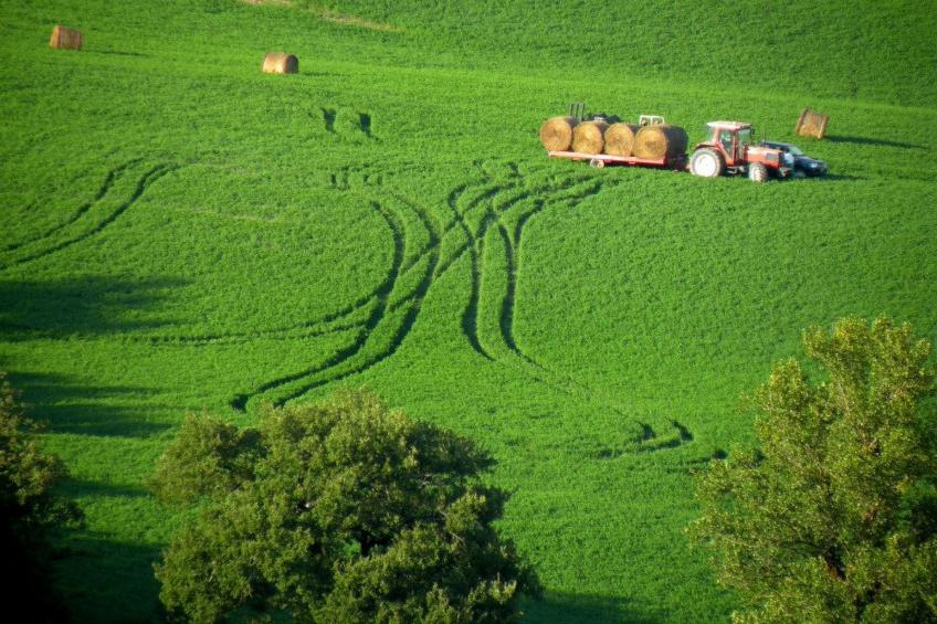 Il Mandorlo für 8 Personen - foto 17