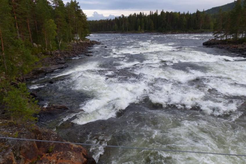 in Vindeln mit Garten, Terrasse und Grill - foto 16