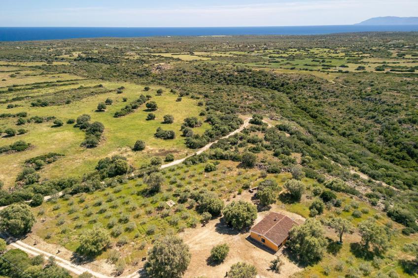 Villa Sae Grecu in Orosei - foto 34