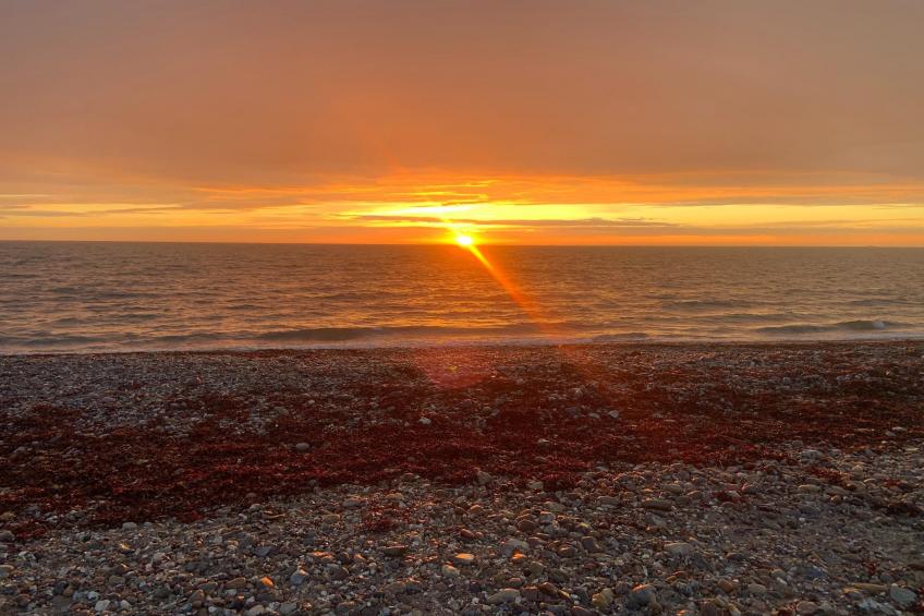 Inselresort Thor Heyerdahl - foto 36