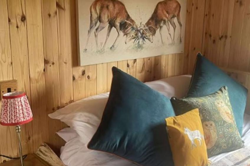 Shepherds Hut - foto 5