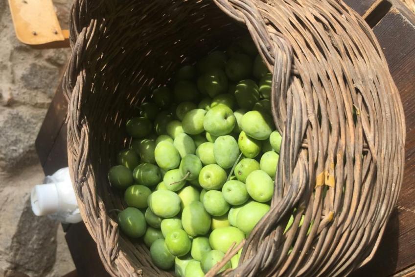 Großes Studio mit Terrasse mit Meerblick - foto 35