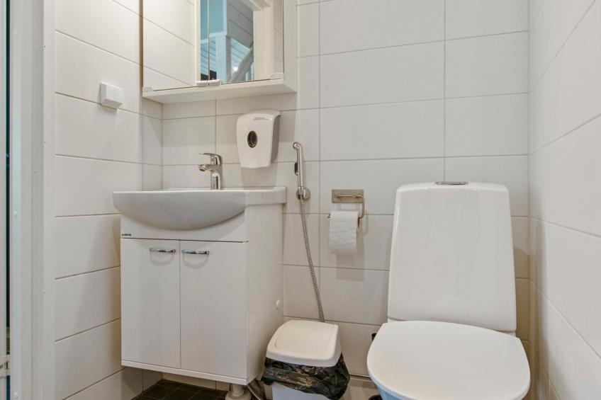 Himoksen keiju 2 - foto 13