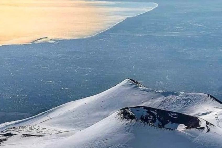 Alley's Haus - foto 25