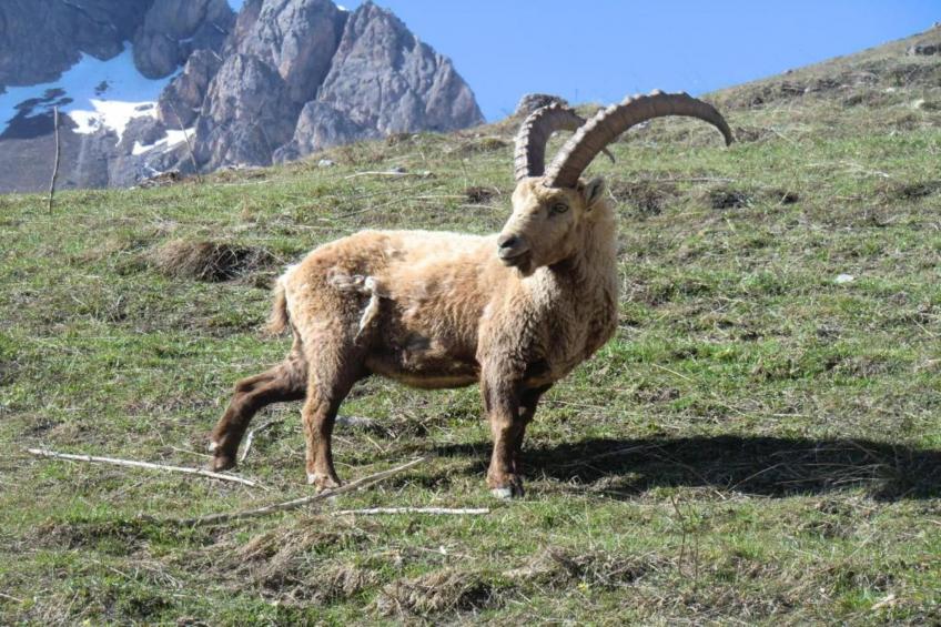 Chalet Clochettes - foto 31